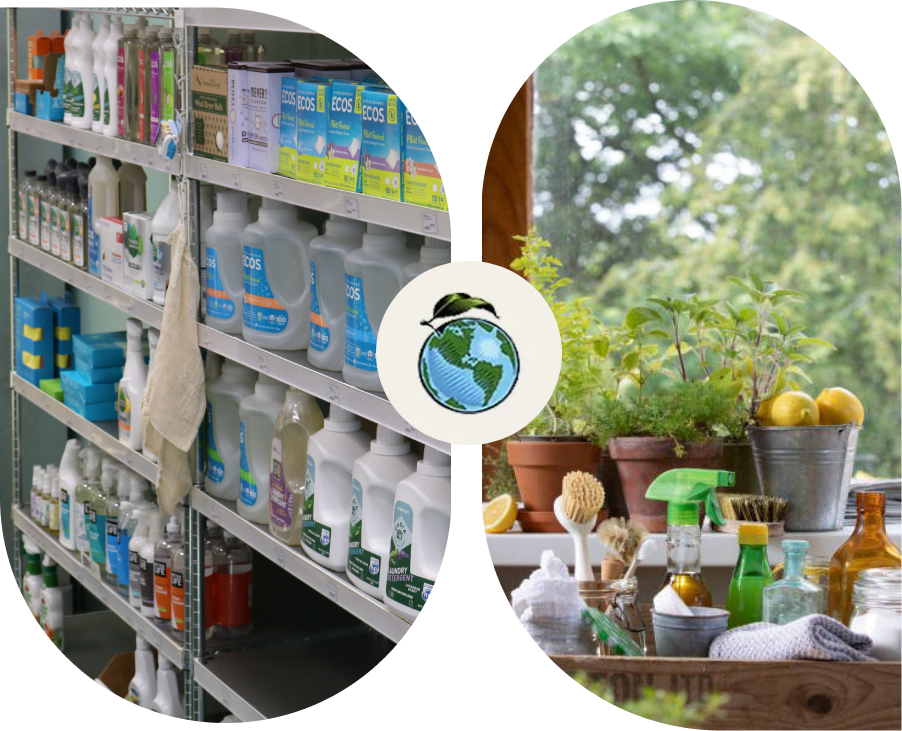 Shelves stocked with various household cleaning products in a store aisle.